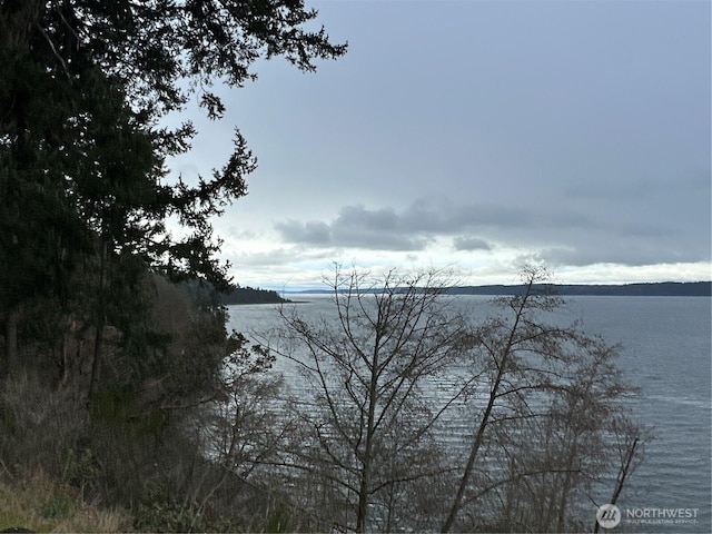 2XX Woodland Beach Rd, Camano Island, WA 98282 - photo 11