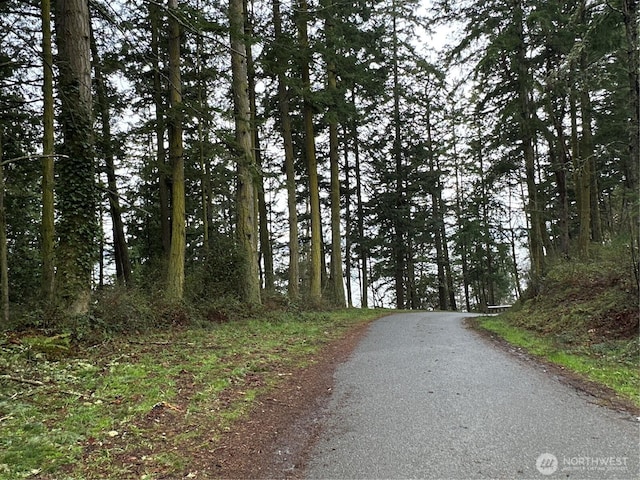 2XX Woodland Beach Rd, Camano Island, WA 98282 - photo 15