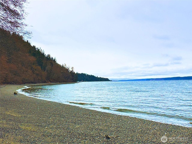 2XX Woodland Beach Rd, Camano Island, WA 98282 - photo 1