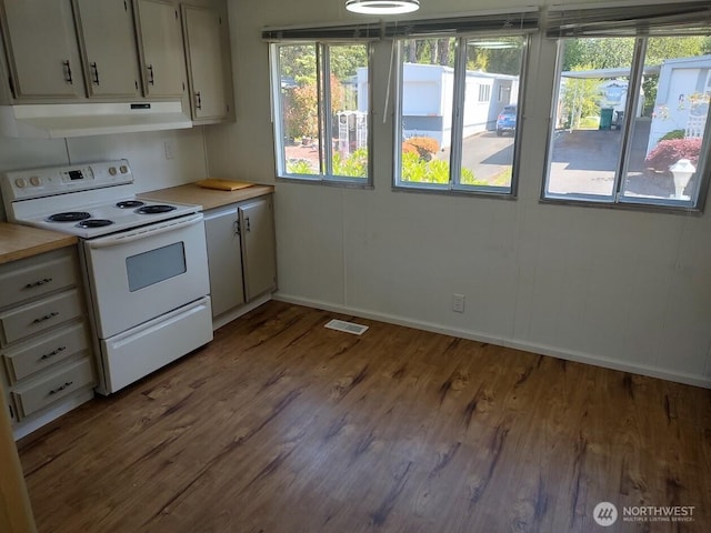 2200 196th St SE Unit 45, Bothell, WA 98012 - kitchen featuring white electric range oven, under cabinet range hood, baseboards, and healthy amount of natural light