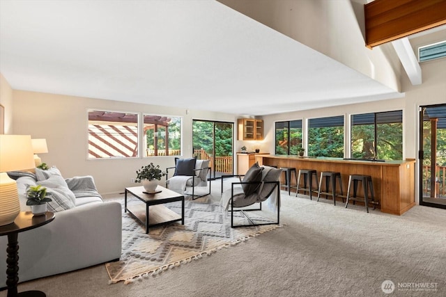 21907 3rd Ave SE, Bothell, WA 98021 - carpeted living room with bar