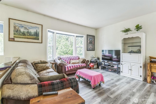 642 Sprague Valley Dr, Maple Falls, WA 98266 - living area featuring wood finished floors