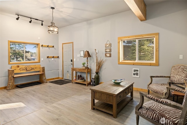 671 W Pacific Ave, Ronald, WA 98940 - living area with baseboards, track lighting, plenty of natural light, and beamed ceiling