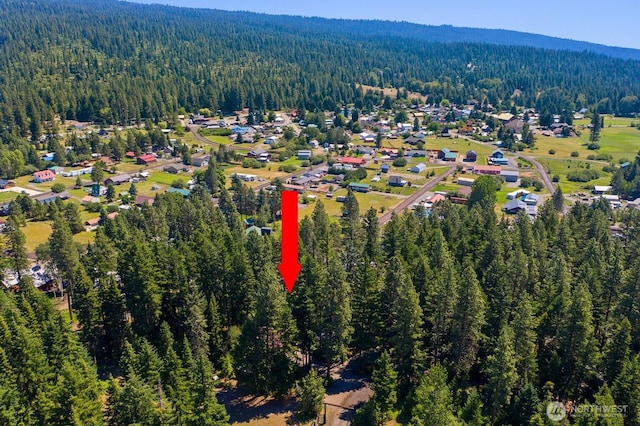 671 W Pacific Ave, Ronald, WA 98940 - view of property location with a forest