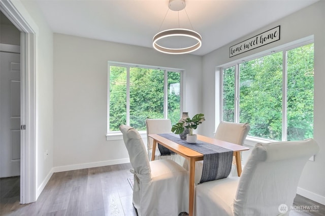 300 Cascade Ave, Granite Falls, WA 98252 - dining space featuring baseboards and wood finished floors