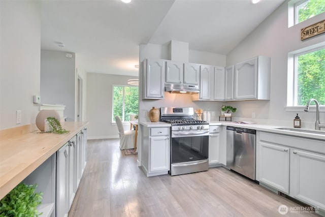 300 Cascade Ave, Granite Falls, WA 98252 - kitchen featuring appliances with stainless steel finishes, under cabinet range hood, light wood-type flooring, light countertops, and vaulted ceiling