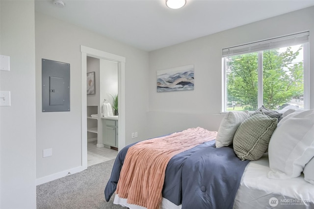 300 Cascade Ave, Granite Falls, WA 98252 - carpeted bedroom with electric panel and connected bathroom