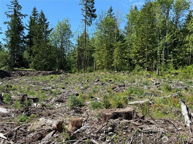 29555 150th Ave E, Graham, WA 98338