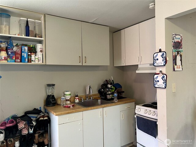 8040 Pacific Ave, Tacoma, WA 98408 - kitchen with white electric stove, under cabinet range hood, and white cabinets