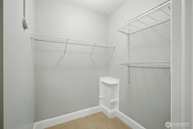 2132 5th Ave Unit 209, Seattle, WA 98121 - spacious closet with carpet floors