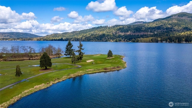 78 Honeycomb Ln, Bellingham, WA 98229 - water view with a mountain backdrop
