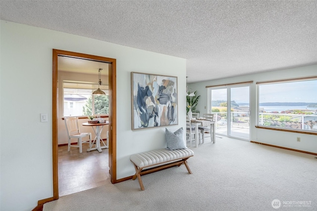 7215 N 23rd, Tacoma, WA 98406 - hallway with carpet floors and a textured ceiling