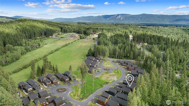 121 Panorama Dr, Cle Elum, WA 98922 - photo 38