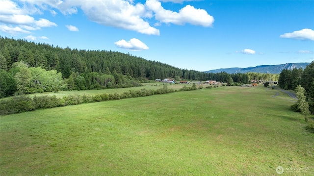 121 Panorama Dr, Cle Elum, WA 98922 - photo 39