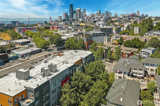 827 Hiawatha Pl S Unit 405, Seattle, WA 98144 - skyline view