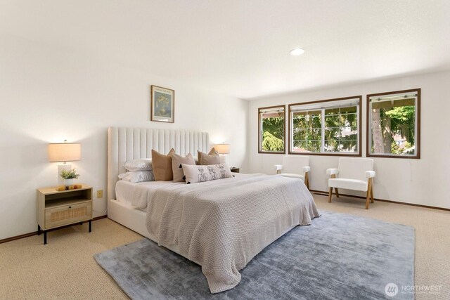 29617 58th Pl S, Auburn, WA 98001 - carpeted bedroom with baseboards
