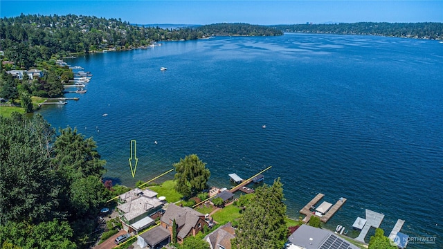 8314 Island Dr S, Seattle, WA 98118 - aerial view of a large body of water