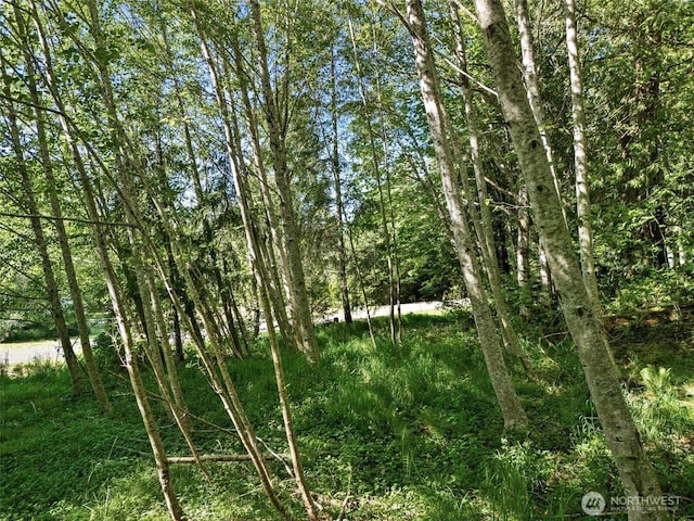 1891 SE Crescent Dr, Shelton, WA 98584 - photo 8