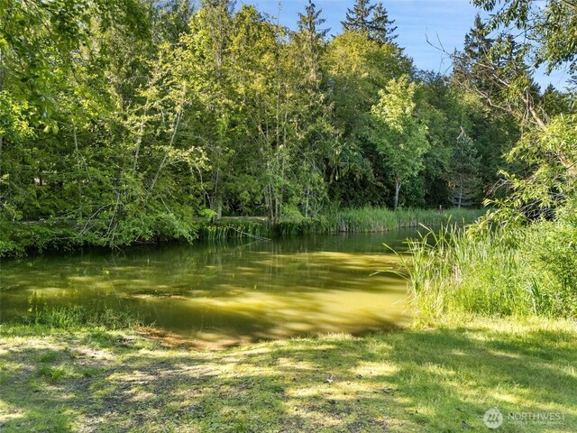 1891 SE Crescent Dr, Shelton, WA 98584 - photo 18