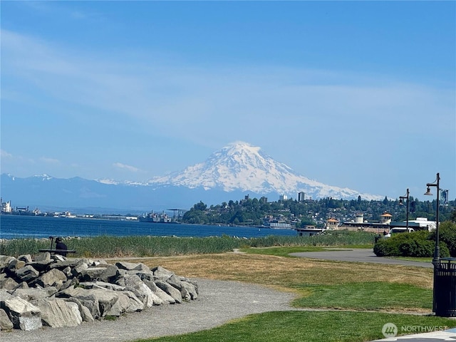 5105 Grand Loop Unit 107, Tacoma, WA 98407 - view of home's community with a water and mountain view