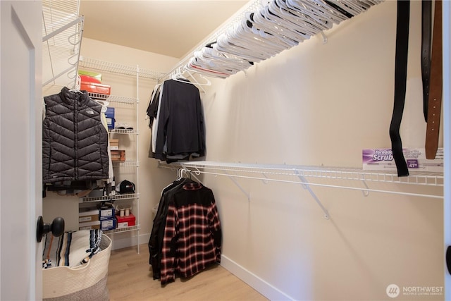 1860 Hoffman Hill Blvd, Dupont, WA 98327 - spacious closet with wood finished floors