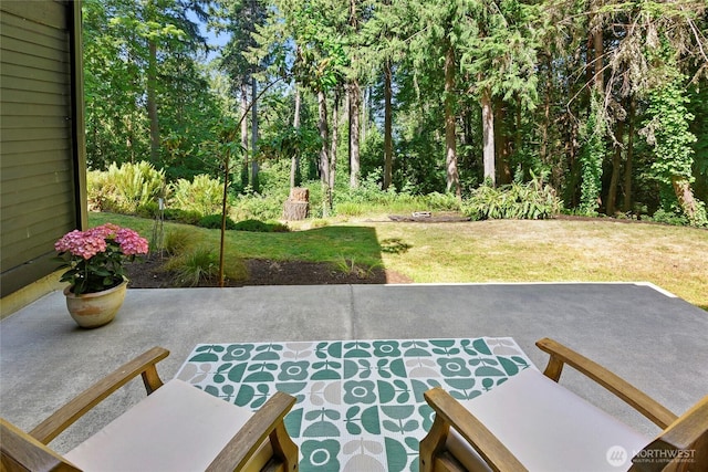 9767 Battle Point Dr NE, Bainbridge Island, WA 98110 - view of patio / terrace