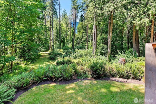9767 Battle Point Dr NE, Bainbridge Island, WA 98110 - view of green lawn