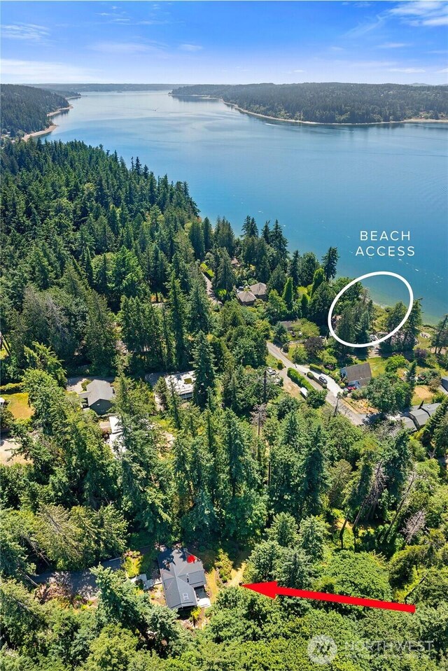 9767 Battle Point Dr NE, Bainbridge Island, WA 98110 - aerial view of a large body of water and a forest