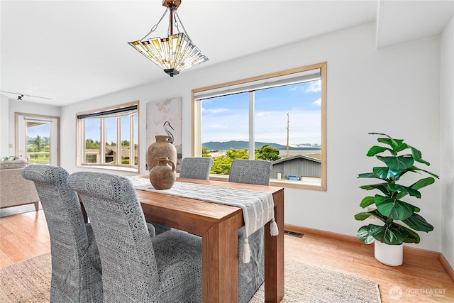 912 11th Unit 101, Bellingham, WA 98225 - dining room with light wood-style floors, baseboards, and a chandelier