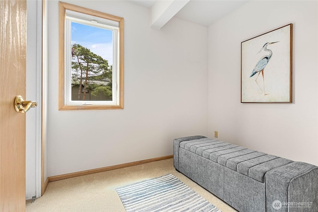 912 11th Unit 101, Bellingham, WA 98225 - bedroom with carpet floors and baseboards