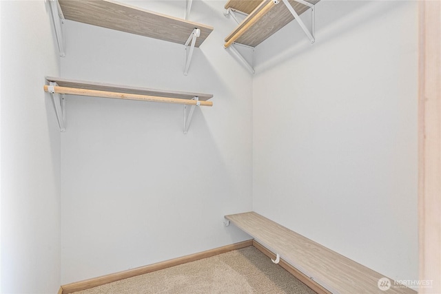 912 11th Unit 101, Bellingham, WA 98225 - spacious closet featuring carpet flooring