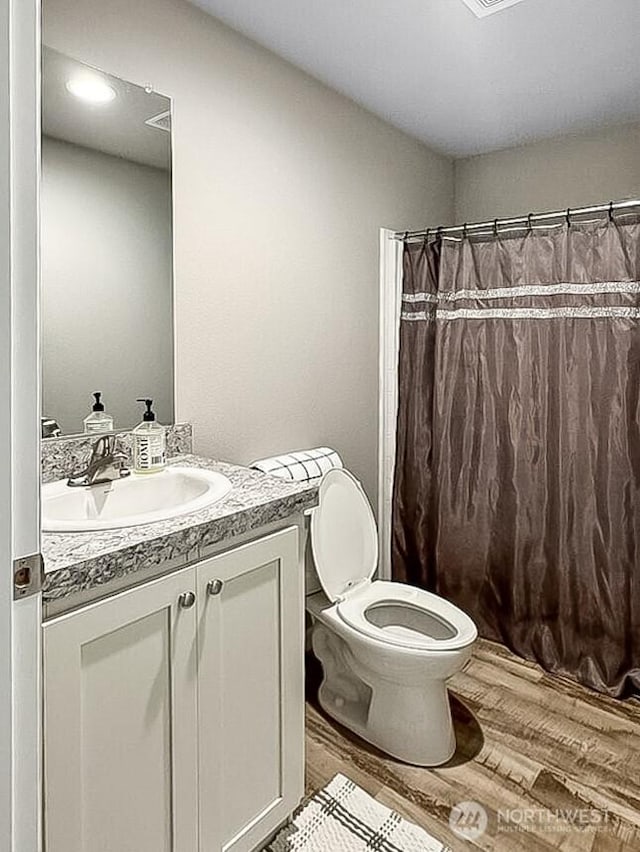 6240 Azure Way, Maple Falls, WA 98266 - bathroom with vanity, toilet, wood finished floors, and a shower with curtain