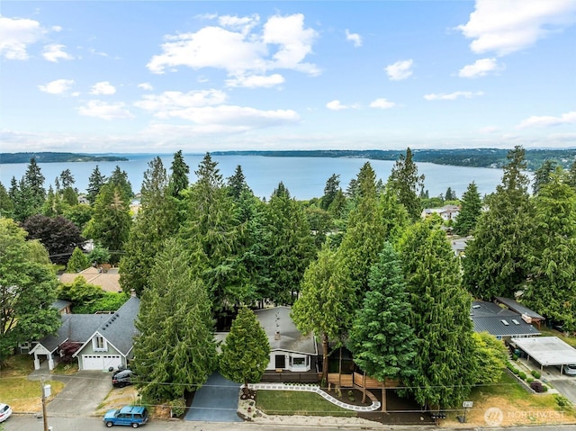 638 SW 299th Pl, Federal Way, WA 98023 - bird's eye view of a large body of water