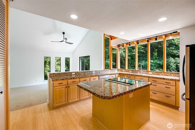 726 114th St NE, Tulalip, WA 98271 - kitchen with appliances with stainless steel finishes, light wood finished floors, plenty of natural light, ceiling fan, and lofted ceiling