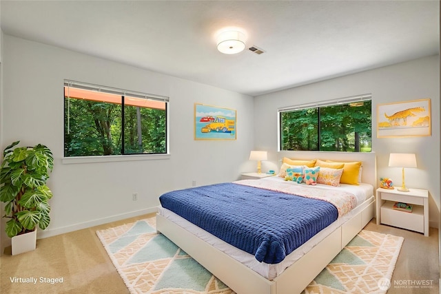726 114th St NE, Tulalip, WA 98271 - carpeted bedroom with baseboards