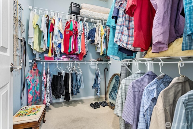 1521 Westview Pl, Lynden, WA 98264 - walk in closet featuring carpet floors