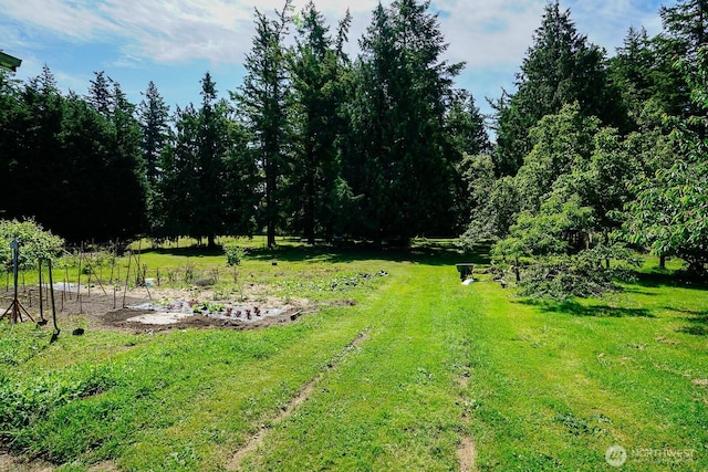 1245 W Axton Rd, Ferndale, WA 98248 - view of grassy yard
