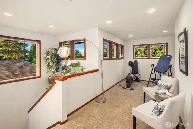 5613 21st Ave SW, Seattle, WA 98106 - workout area with healthy amount of natural light, light carpet, and recessed lighting