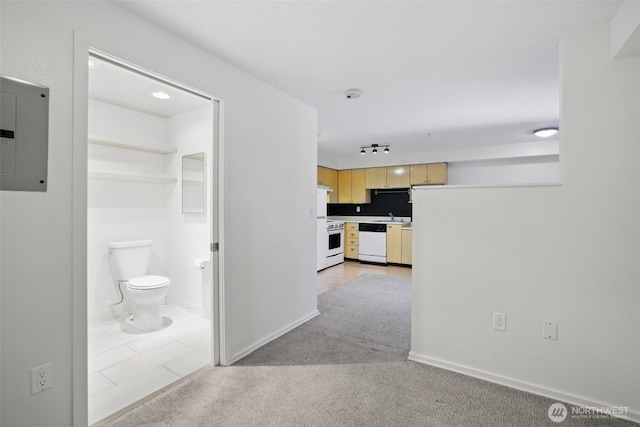 425 Vine St Unit 513, Seattle, WA 98121 - corridor featuring electric panel, baseboards, light colored carpet, and a sink