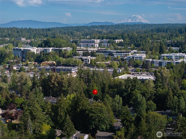 11215 NE 128th St Unit L-203, Kirkland, WA 98034 - drone / aerial view of a heavily wooded area and mountains