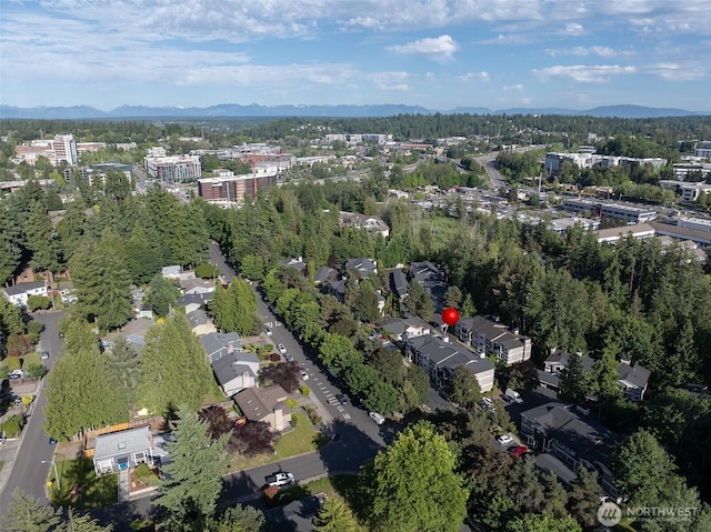 11215 NE 128th St Unit L-203, Kirkland, WA 98034 - view of property location with mountains