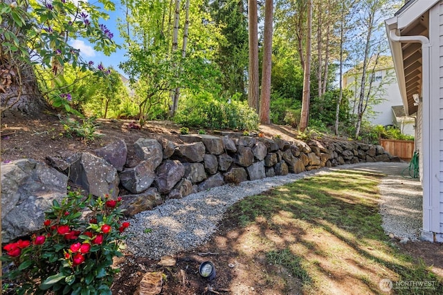 5628 168th Ave SE, Bellevue, WA 98006 - photo 4