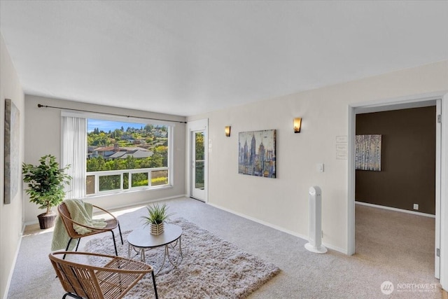 720 Lakeside Ave S Unit 406, Seattle, WA 98144 - living area with carpet floors and baseboards