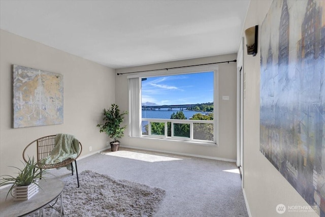 720 Lakeside Ave S Unit 406, Seattle, WA 98144 - living area with carpet, baseboards, and a water view