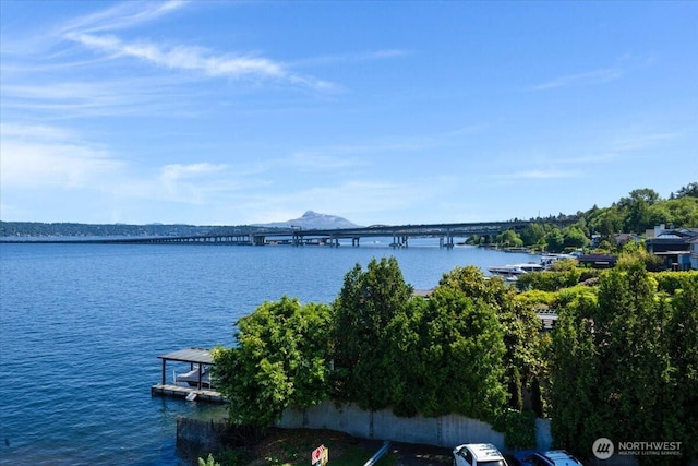 720 Lakeside Ave S Unit 406, Seattle, WA 98144 - water view featuring a notable bridge and a dock