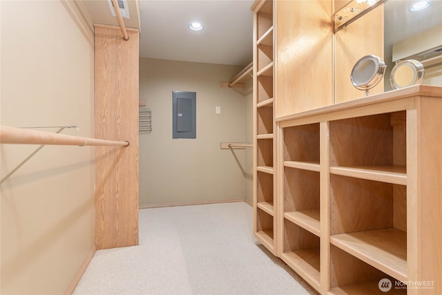 8 Far Summit Pl, Bellingham, WA 98229 - walk in closet with electric panel and carpet flooring