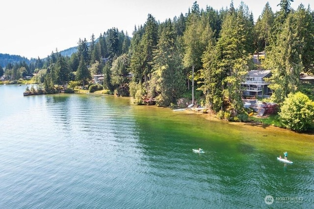 8 Far Summit Pl, Bellingham, WA 98229 - water view with a heavily wooded area