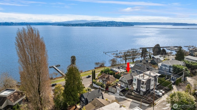 3807 E Jefferson St, Seattle, WA 98122 - drone / aerial view of a water and mountain view
