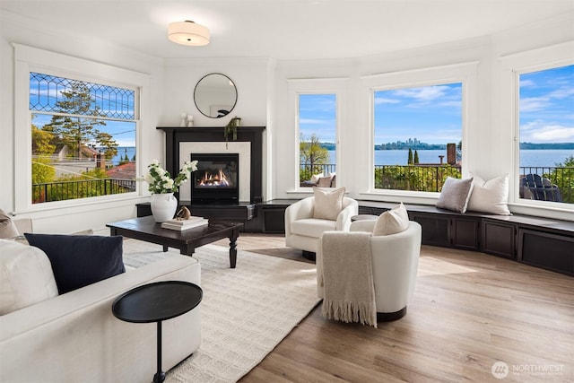 3807 E Jefferson St, Seattle, WA 98122 - living area with healthy amount of natural light, light wood-type flooring, a water view, and ornamental molding