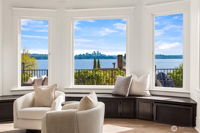 3807 E Jefferson St, Seattle, WA 98122 - living area featuring a water view and light wood-style floors